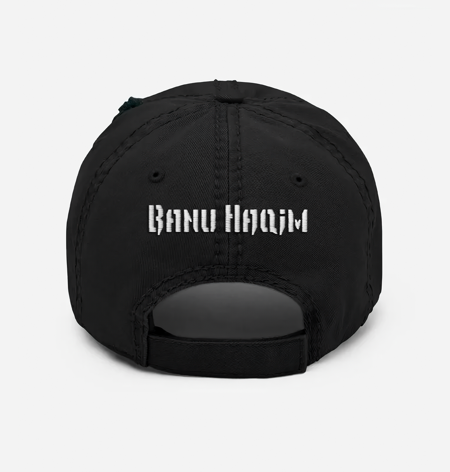 Vampire: The Masquerade clan distressed cap with embroidered clan sigil