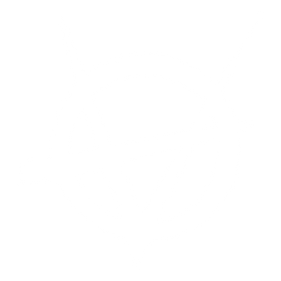 Brujah